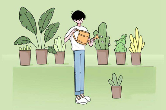 在长沙唯上商务科技学校就读，能申请奖学金吗