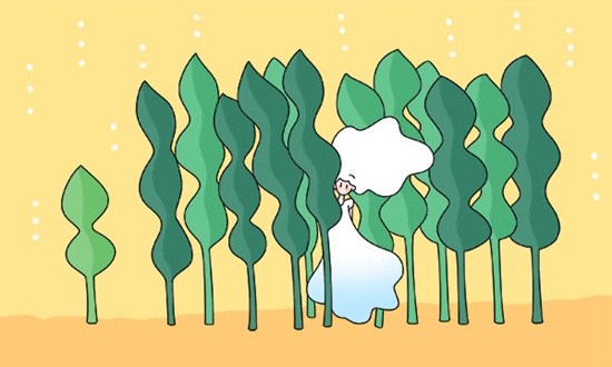 中职升本科难吗 菏泽信息工程学校的升学率如何